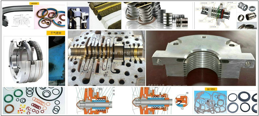 十種泵密封類型的失效原因總結